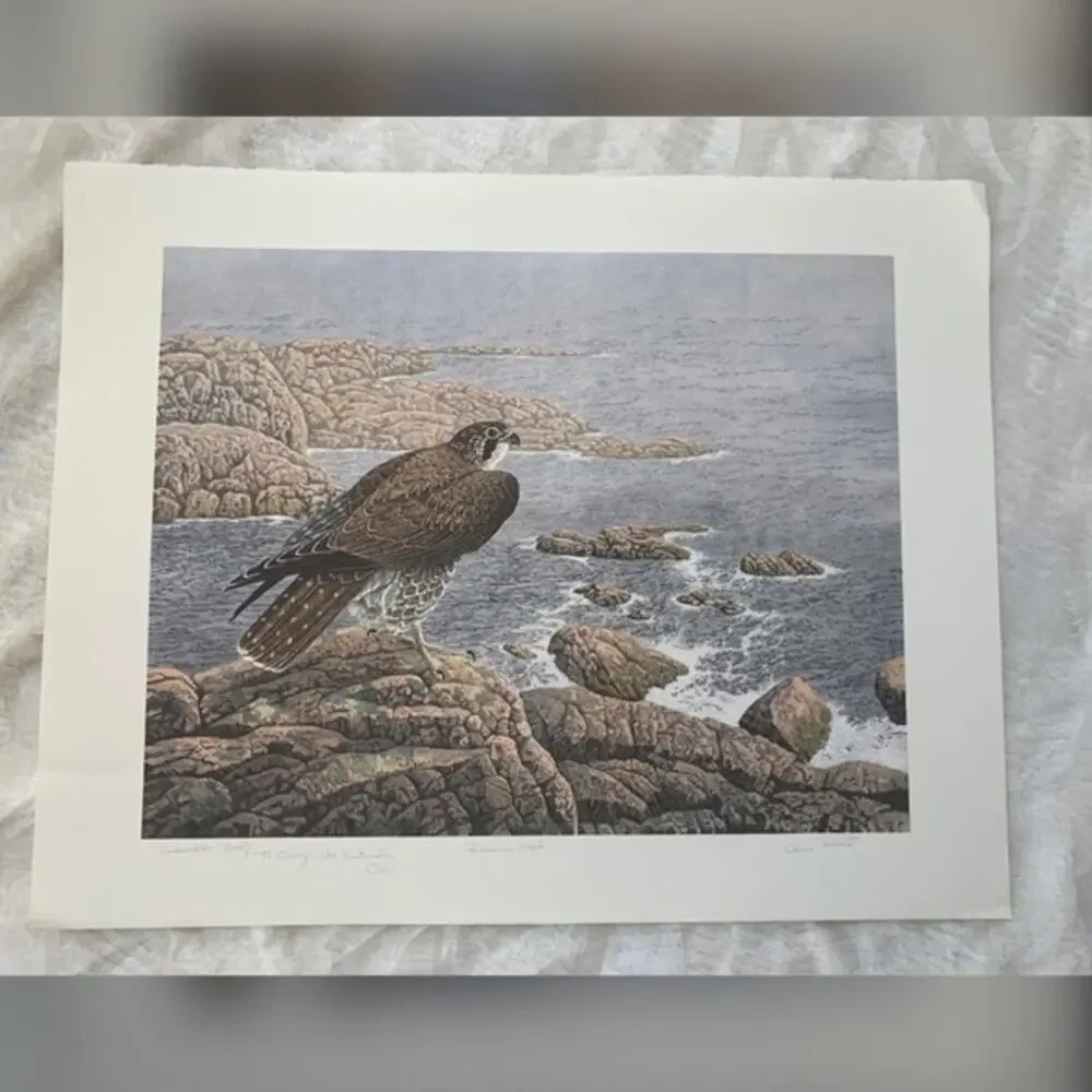 - Chris Forrest Lithograph ‘Falcons Vigil 1979’